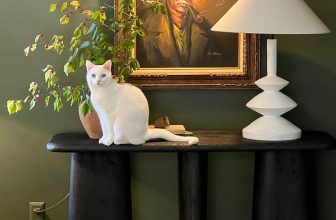 12 Lovely Moody Paint Colours for Your Partitions | Thrifty Decor Chick