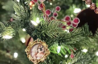 How to Make DIY Vintage Christmas Frame Ornaments | Thrifty Decor Chick