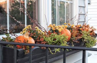 Beyond the Mum: Fall Container and Window Box Ideas | Thrifty Decor Chick